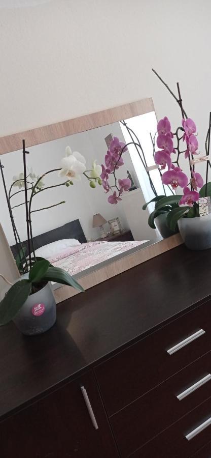 Apartament The Star La Boheme!!! PalaiónTsiflíkion Zewnętrze zdjęcie
