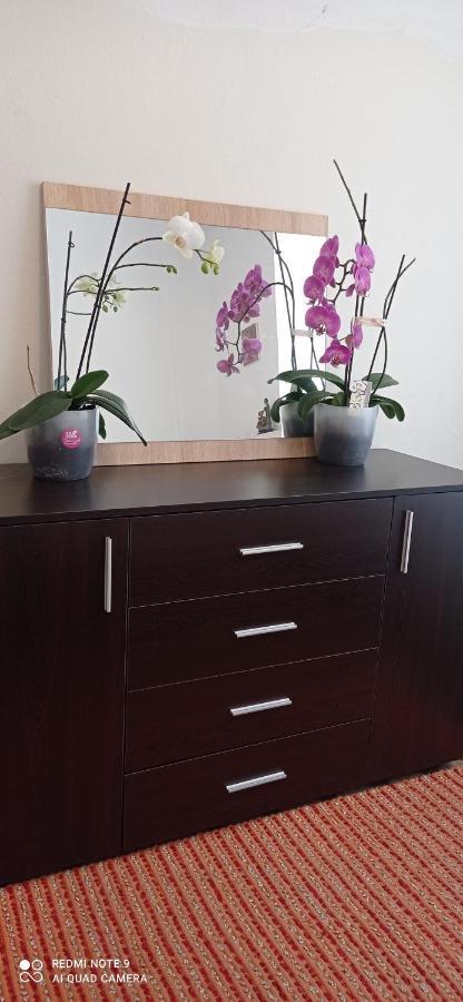 Apartament The Star La Boheme!!! PalaiónTsiflíkion Zewnętrze zdjęcie